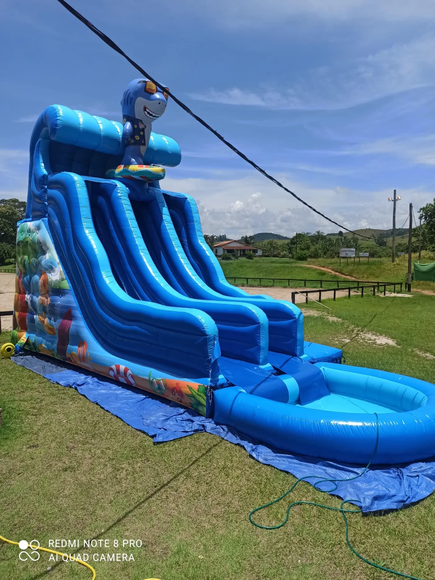 toboshark Pool 7