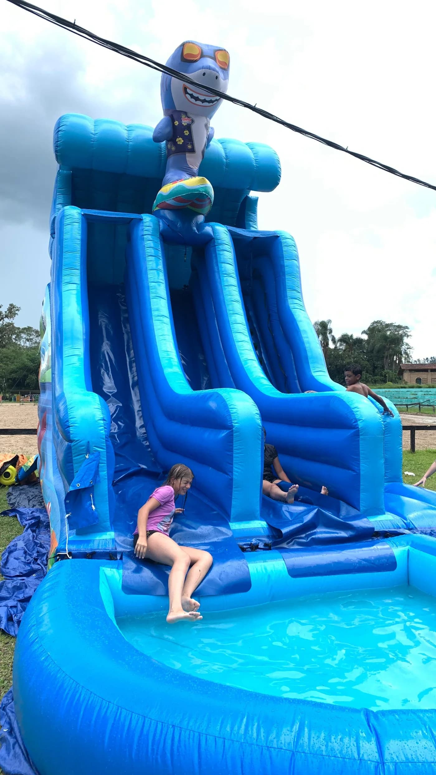 toboshark Pool 5