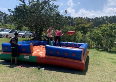 Aluguel Guerra de Cotonetes 4 IMG 0383