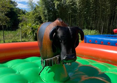 Touro Mecanico Twix Eventos 8 1