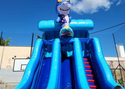 aluguel toboshark acqua 2