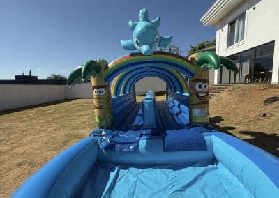 IMG 1190